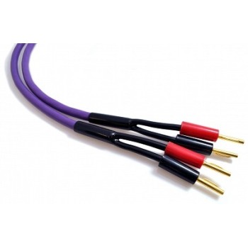 Melodika MDSC 40 2