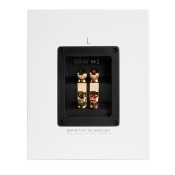 Definitive Technology D11 2