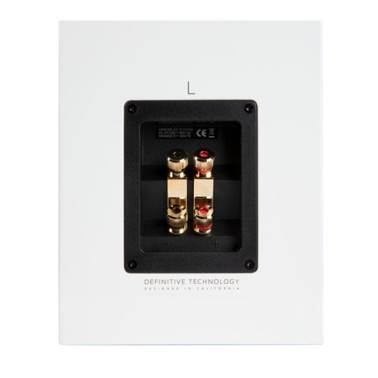 Definitive Technology D11