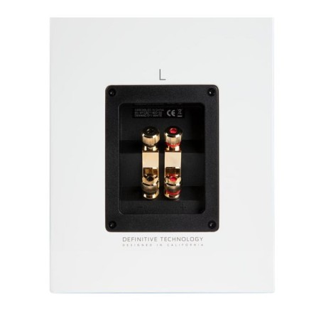 Definitive Technology D11