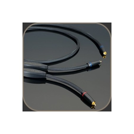 Transparent  Ultra RCA Phono Gen 6