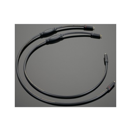 Transparent  Plus RCA Phono Gen 6