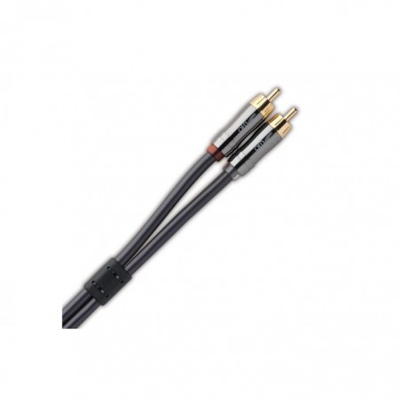 QED Perfomance Audio RCA Graphite
