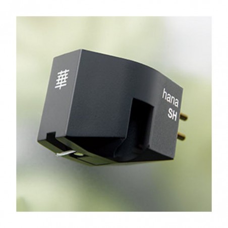HANA SH