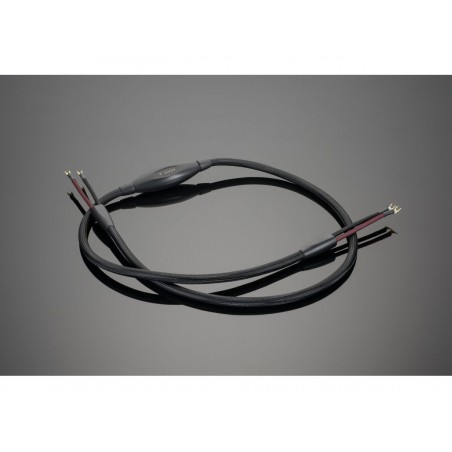 Transparent Audio SUPER SSC  Gen 6