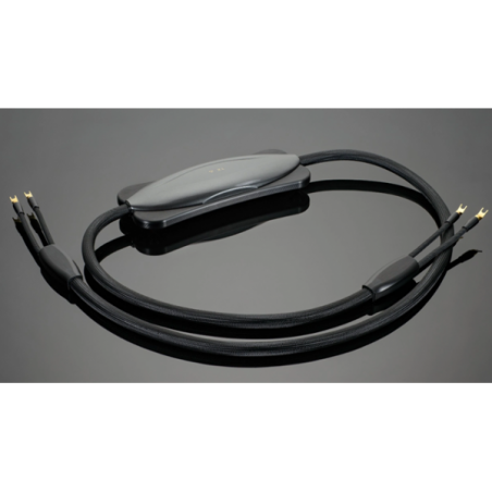 Transparent  Audio XL-XSC  Gen6