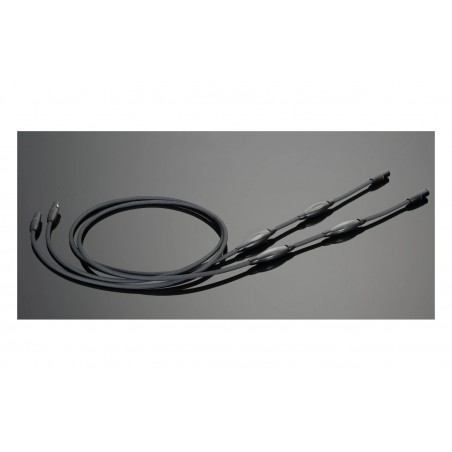 Transparent Audio Balanced Reference Gen 6 RBL