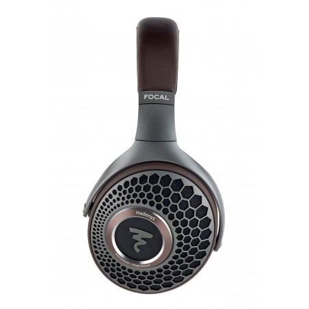 Focal HADENYS