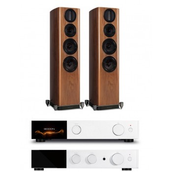 Audiolab 9000A+9000N+ Wharfedale Aura 3