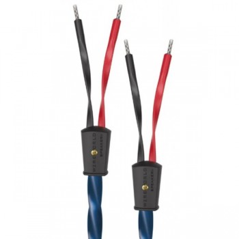 Wireworld Oasis 10