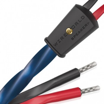 Wireworld Oasis 10 2