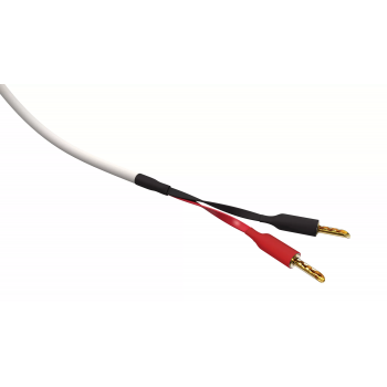Wireworld Stream 10