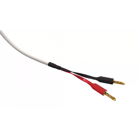 Wireworld Stream 10