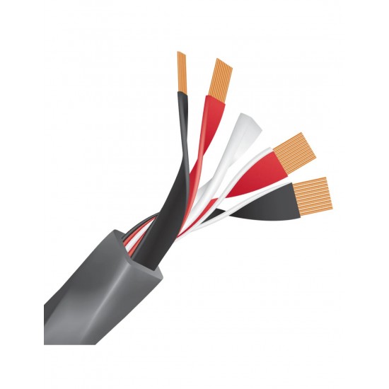 WireWorld Equinox 10