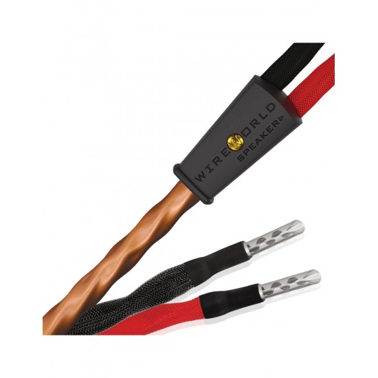 WireWorld Mini Eclipse 10