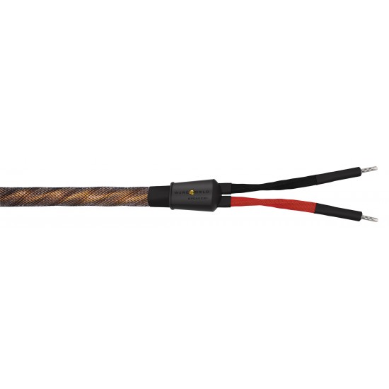 WireWorld  Eclipse 10