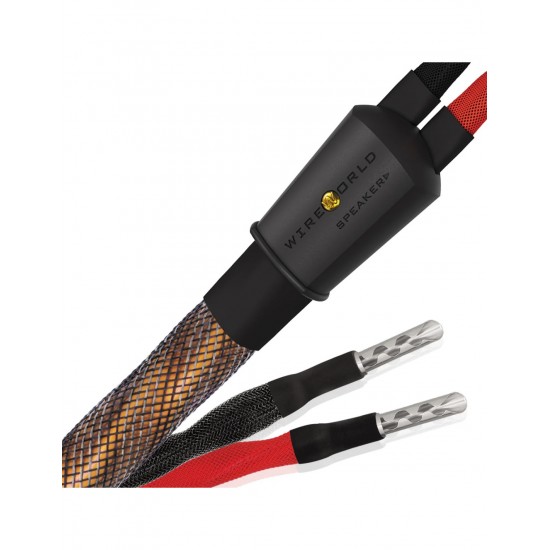 WireWorld  Eclipse 10