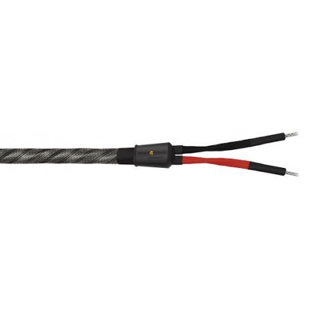 WireWorld Silver  Eclipse 10