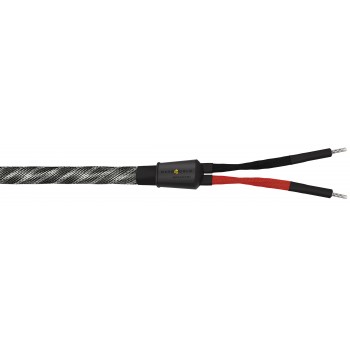 WireWorld Platinum Eclipse 10