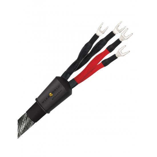 WireWorld Platinum Eclipse 10