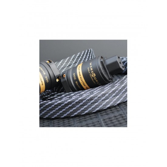 WireWorld The  Platinum Electra 10