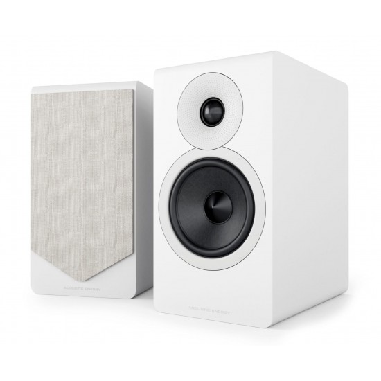 Acoustic Energy AE300