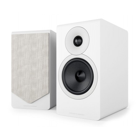 Acoustic Energy AE300