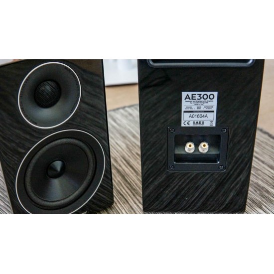 Acoustic Energy AE300