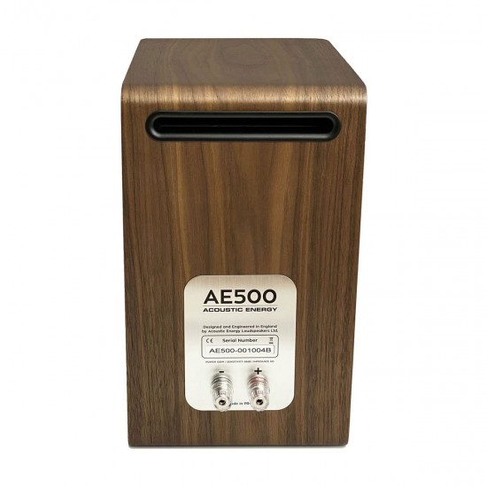 Acoustic Energy AE500