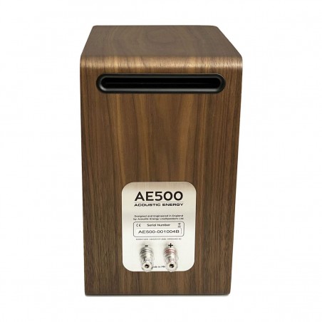 Acoustic Energy AE500