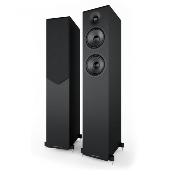 Acoustic Energy AE 309