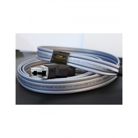 Wireworld Platinum Starlihgt 10  Ethernet