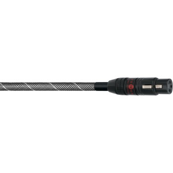 Wireworld Platinum Starlight 8 Digital Balanceado