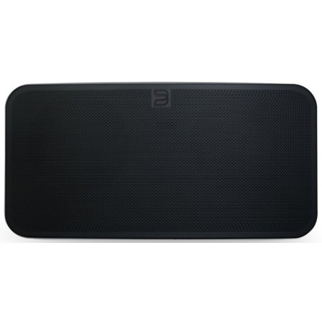 Bluesound Pulse Mini 2i