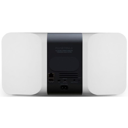 Bluesound Pulse Mini 2i